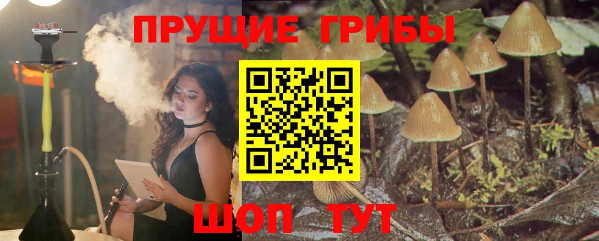 Пыть-Ях  Псилоцибиновые грибы ЛСД  Вход с VPN 